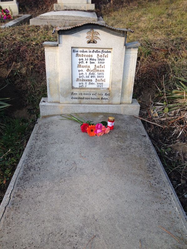 Image 1 of 37  -  136 kB